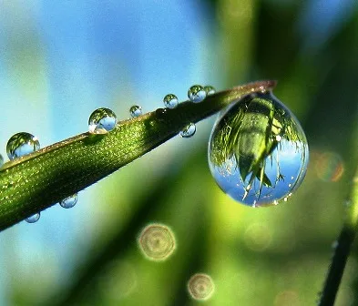 drop of water