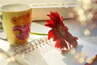 woman_letter