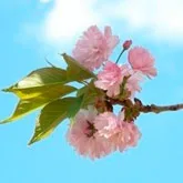 Ни хлебом единым... или что нас поднимает на подвиг?