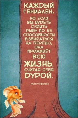 каждый гениален