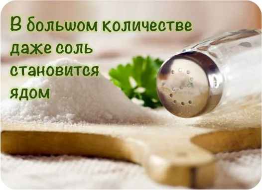 следи за специями
