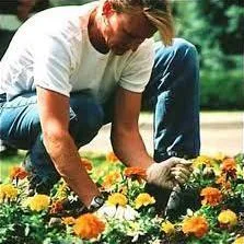 gardener