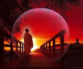 secret_life