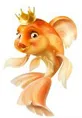 gold_fish