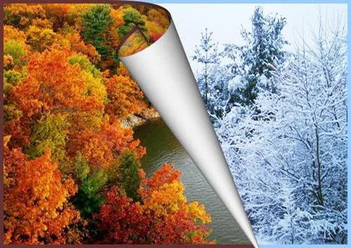 hello_winter